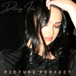 Picture Perfect (Explicit)