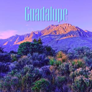 Guadalupe (feat. Ramiro L.)