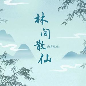 林间散仙 (空拍)