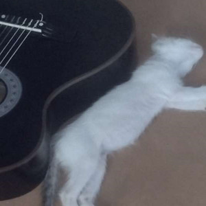 Intítulavel 2:00am (Explicit)