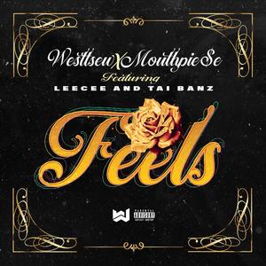 Feels(feat. Leecee & Taibanz) (Explicit)