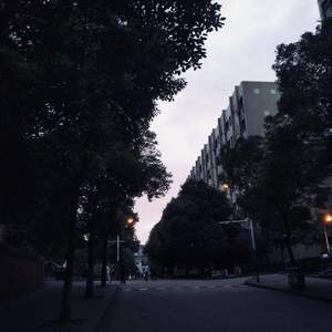 十六夏