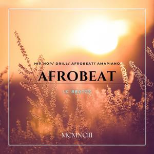 AfroBeat X (TYPE BEAT INSTRUMENTAL)