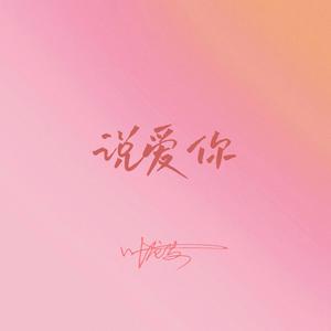 说爱你