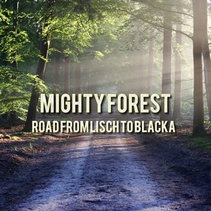 Mighty Forest Road From Lisch To Blacka