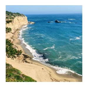 Intuitive - Half Moon Bay