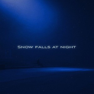 Snow falls at night