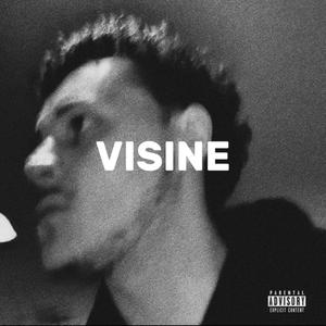 VISINE (Explicit)