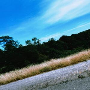 ii jus want these feelings 2 stopp (Explicit)