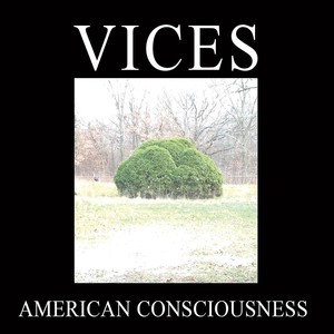 American Consciousness (Explicit)