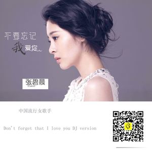 张碧晨 - 不要忘记我爱你 (光音坊DJ阳少ExtendedMix)