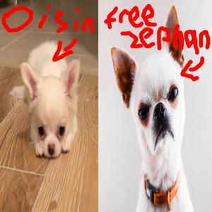 Dead Island 2 (feat. Perm) (Explicit)