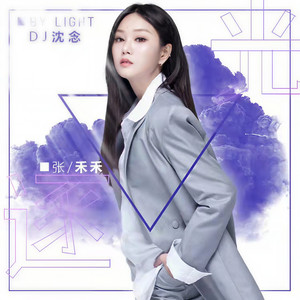 逐光 (DJ沈念版)