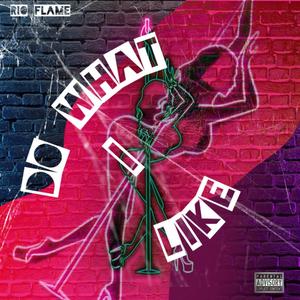 Do What I Like (Explicit)