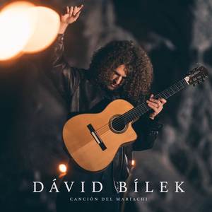 Canción del Mariachi (COVER版)