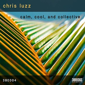 Solidarity (Original Mix)