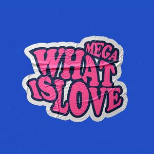 MEGA WHAT IS LOVE (Explicit)