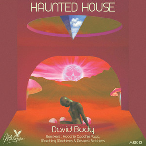 Haunted House (Hoochie Coochie Papa Remix)