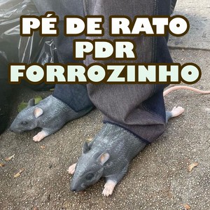 PÉ DE RATO PDR FORROZINHO