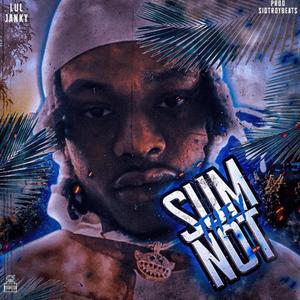 Sum They Not (Explicit)