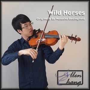 Wild Horses