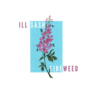 Fireweed