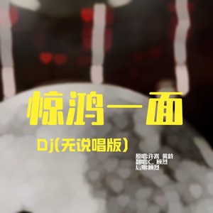 惊鸿一面dj