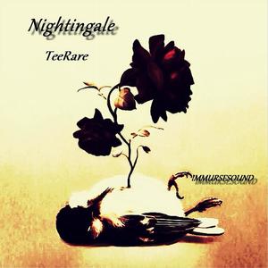 Nightingale (feat. TeeRare)