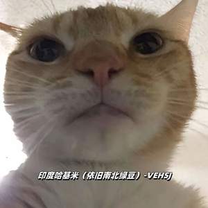 印度哈基米 (依旧南北绿豆)