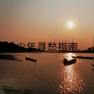 身披彩衣的姑娘 (DJ版)