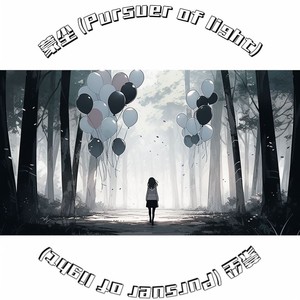 蒙尘 (Pursuer of light)