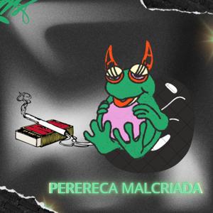 Perereca Malcriada (feat. MC CHARMOSA) (DJBOCA048 Remix|Explicit)