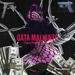 Gata Maliante (feat. Yubray) (Explicit)