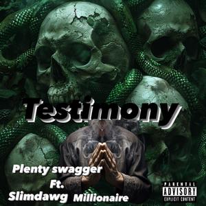 Testimony (feat. Slim dawg millionaires) [Explicit]