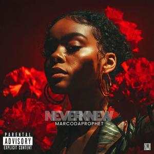 Never Knew (Explicit)
