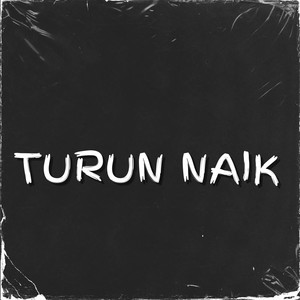 Turun Naik