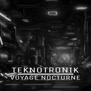 Voyage Nocturne