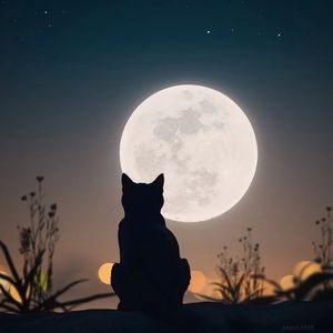 123 木头人（猜不透是哪里出了错）