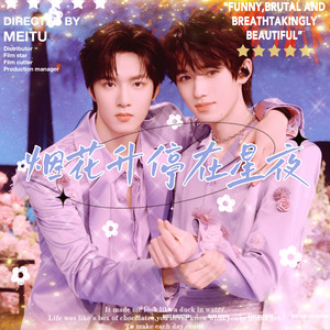 烟花升停在星夜