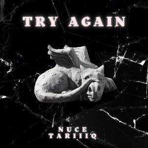 Try Again (feat. Tariiiq) (Explicit)