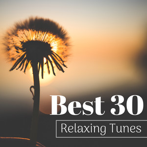 Best 30 Relaxing Tunes