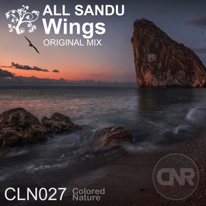Wings (Original Mix)