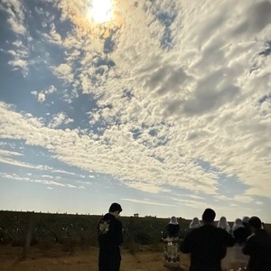 Avulsos na Fazenda Carvão