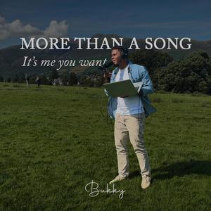 More Than A Song (It's Me You Want)