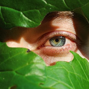 Be Ba Do (feat. Pedro Macedo)