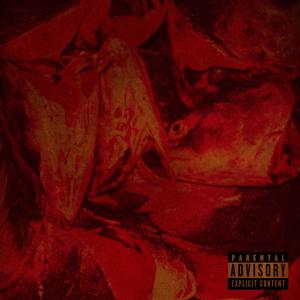 Xanderr - Fishing Gear (Explicit)