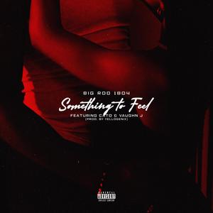 Something to feel (feat. Cato & Vaughn J) [Explicit]