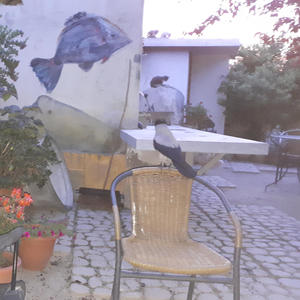 Η σεξουαλικότητα