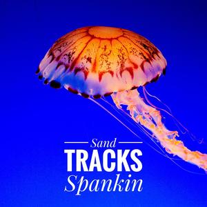 Spankin (feat. Robert James Hanrahan, Mauro Tiberi & Alex Barberis)