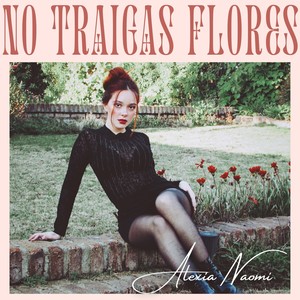 No Traigas Flores
